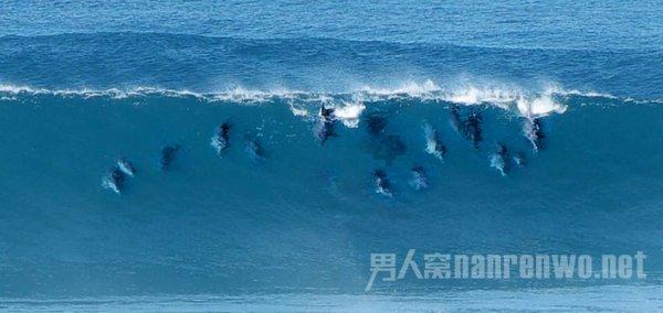 蓝狐视频
