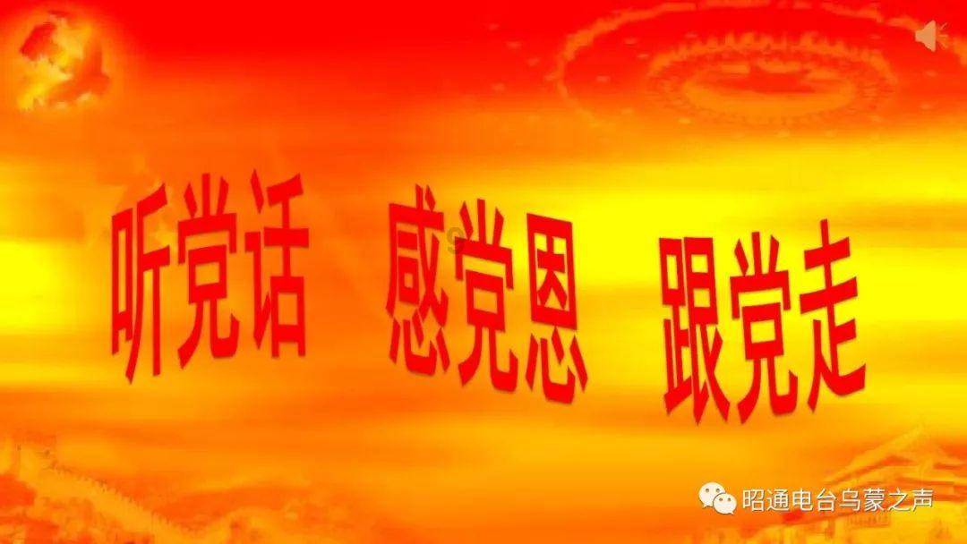 无忧国际wy6999